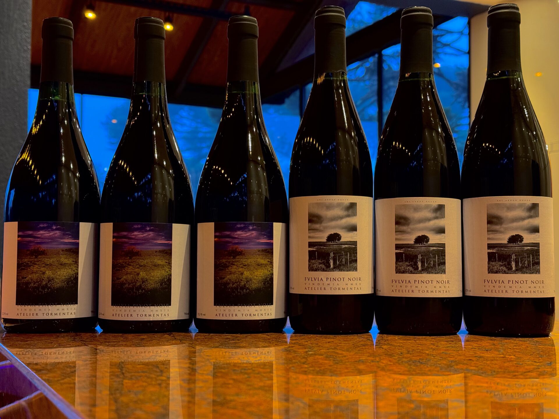 #PACOTE 2 FECHADO FVLVIA PINOT NOIR