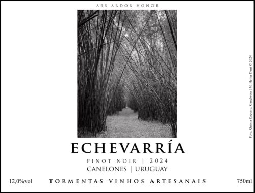 ECHEVARRÍA PINOT NOIR 2024