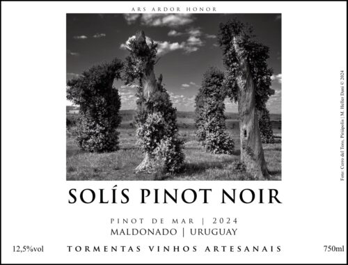 SOLÍS PINOT NOIR  2024