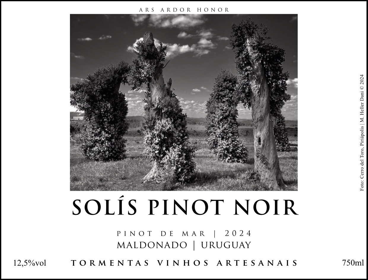*SOLÍS PINOT NOIR 2024